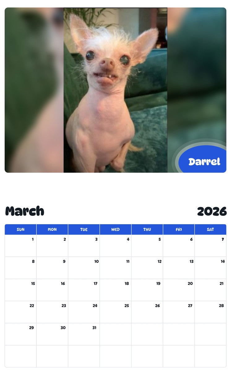 November 2025 - October 2026 Darrel - Pawidols Pet Calendar