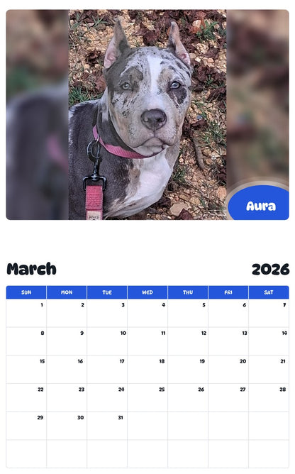 November 2025 - October 2026 Aura - Pawidols Pet Calendar