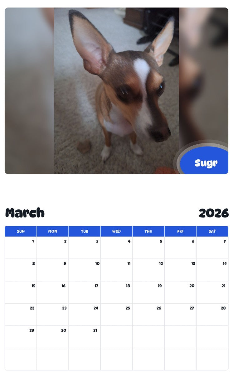 November 2025 - October 2026 Sugr - Pawidols Pet Calendar