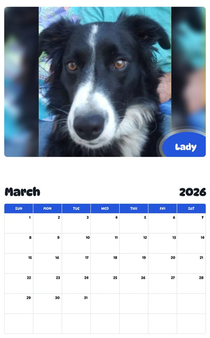 November 2025 - October 2026 Lady - Pawidols Pet Calendar