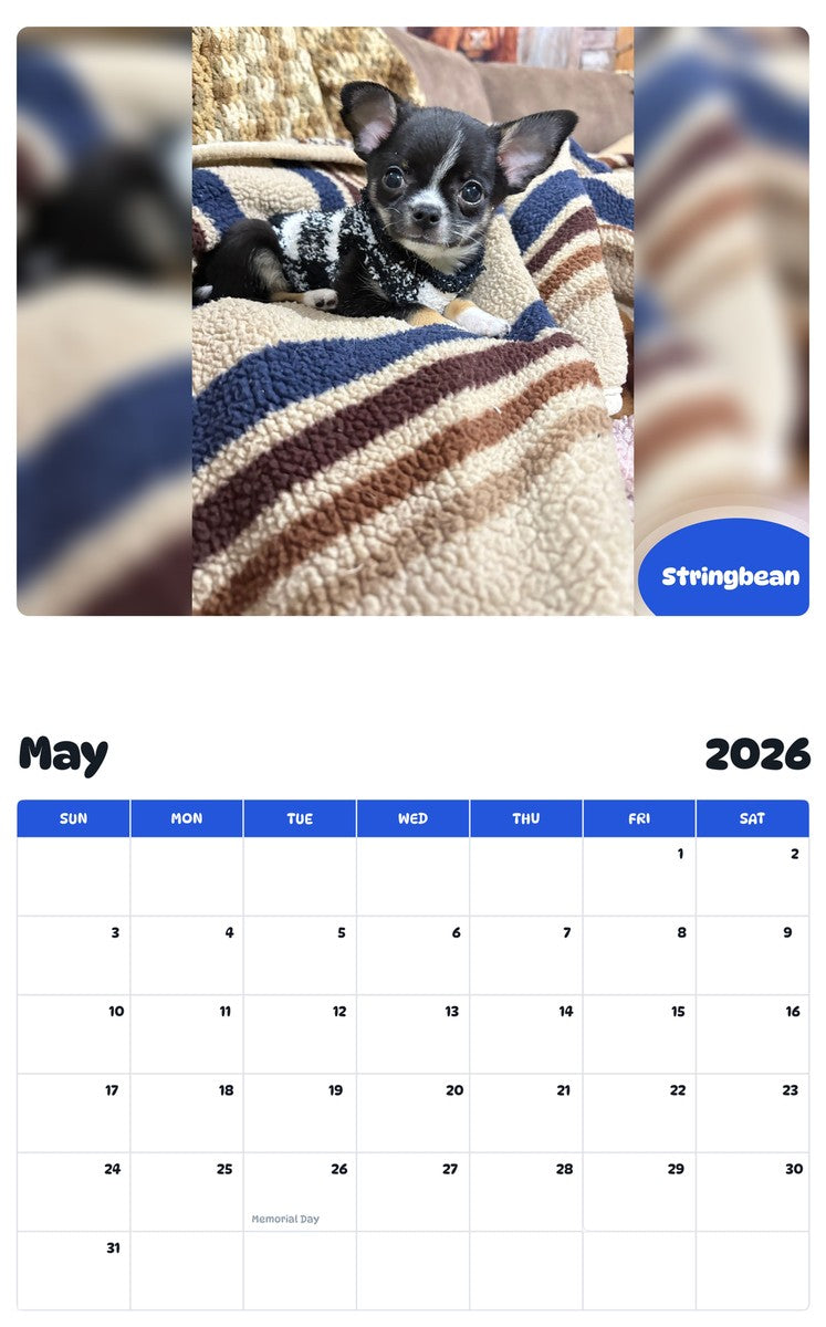 2026 - 2027 Stringbean - Pawidols Pet Calendar