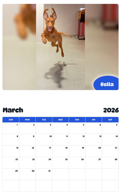 November 2025 - October 2026 Bella - Pawidols Pet Calendar