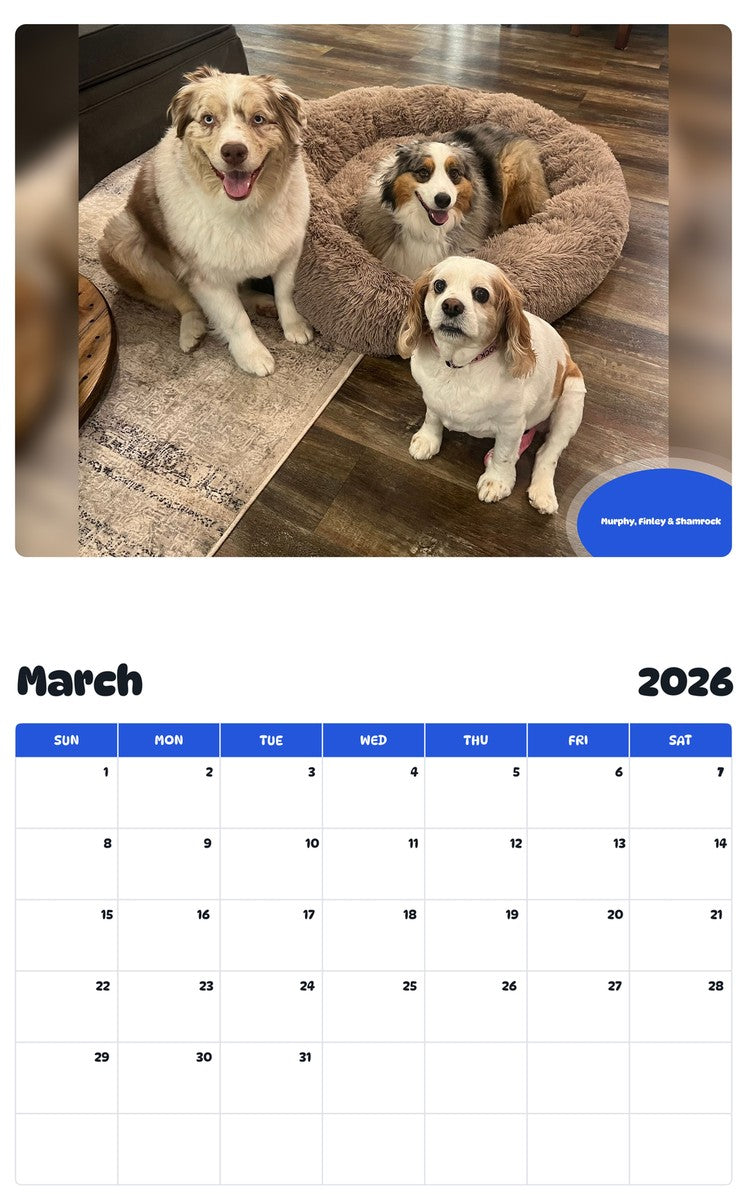 November 2025 - October 2026 Murphy, Finley & Shamrock - Pawidols Pet Calendar