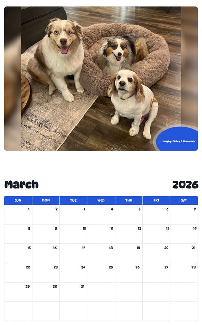 November 2025 - October 2026 Murphy, Finley & Shamrock - Pawidols Pet Calendar