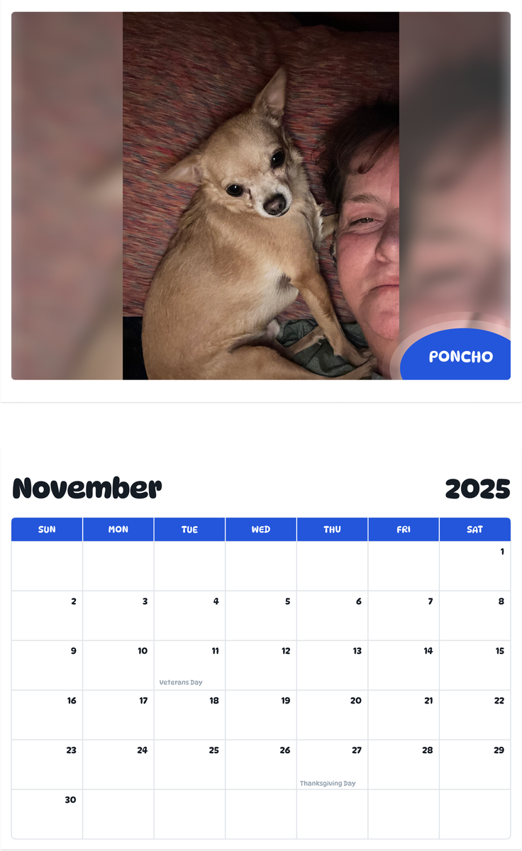 July 2025 - June 2026 Poncho - Pawidols Pet Calendar
