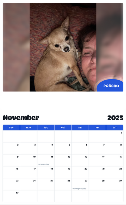 July 2025 - June 2026 Poncho - Pawidols Pet Calendar