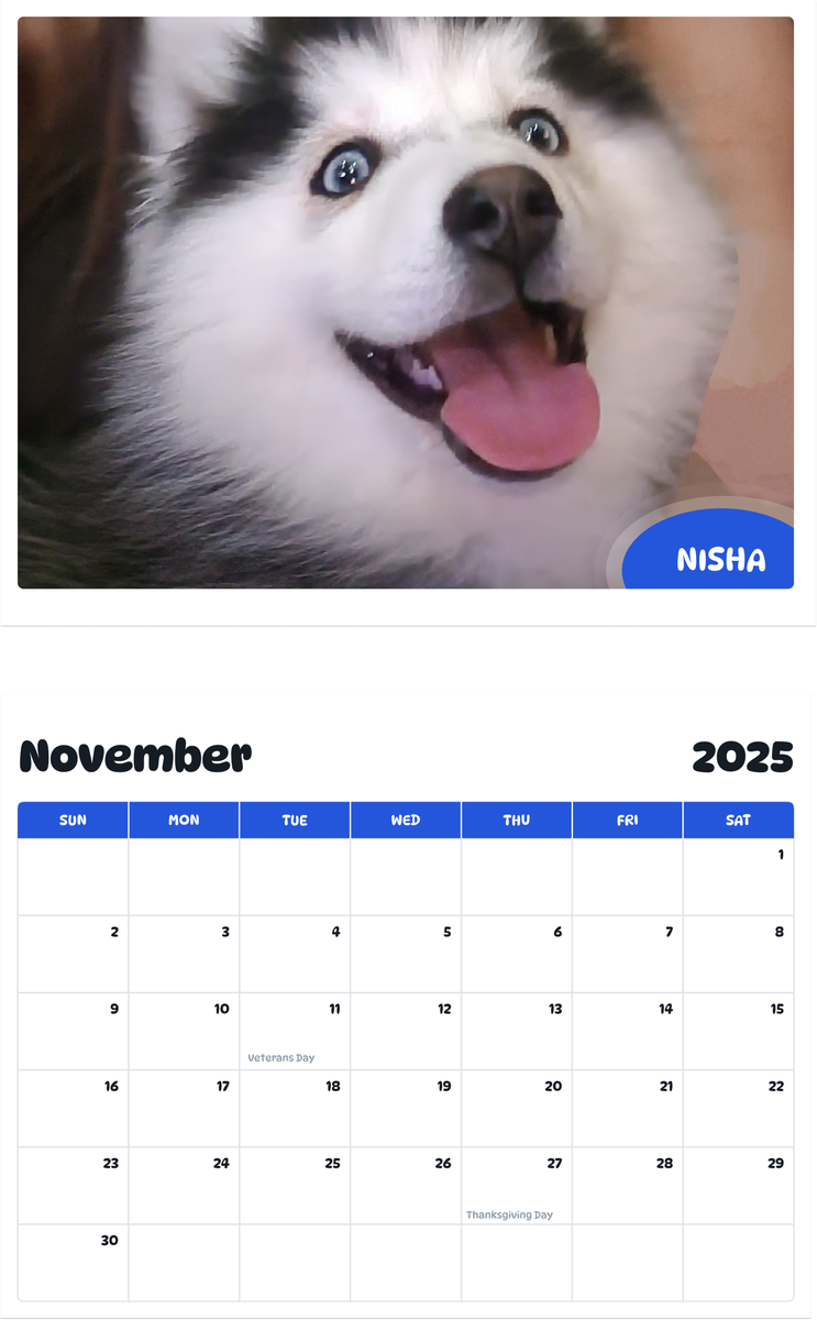July 2025 - June 2026 Nisha - Pawidols Pet Calendar