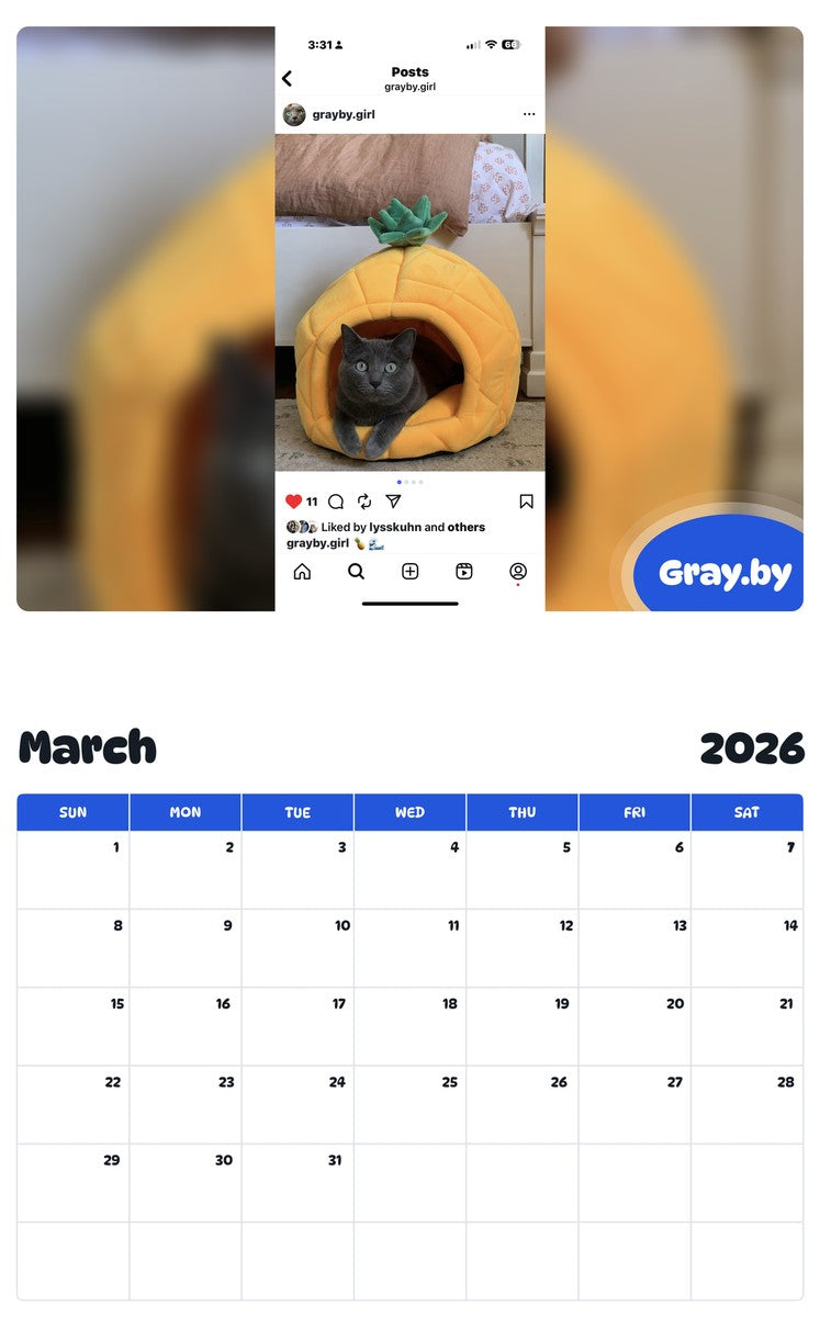 November 2025 - October 2026 Gray.by - Pawidols Pet Calendar
