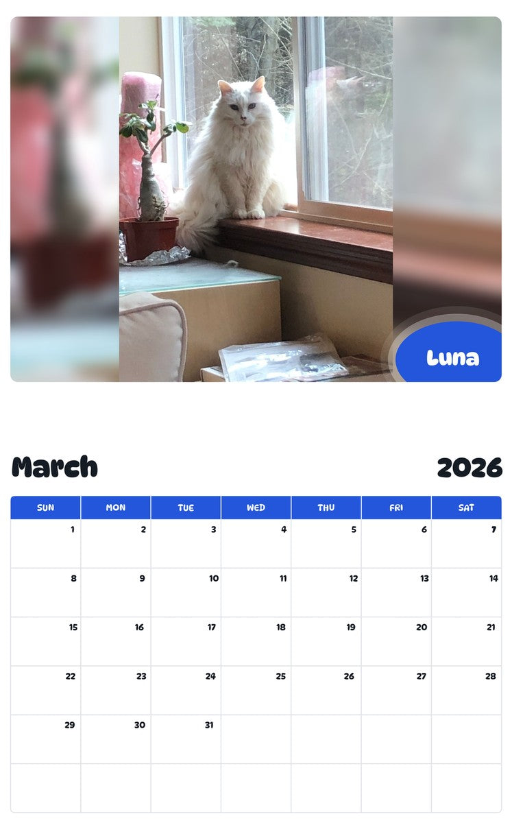 November 2025 - October 2026 Luna - Pawidols Pet Calendar