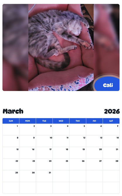 November 2025 - October 2026 Cali - Pawidols Pet Calendar
