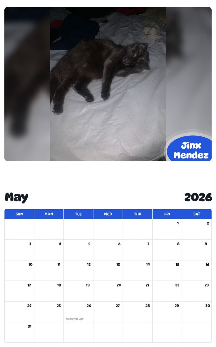 2026 - 2027 Jinx Mendez - Pawidols Pet Calendar