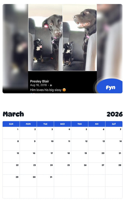 November 2025 - October 2026 Fyn - Pawidols Pet Calendar