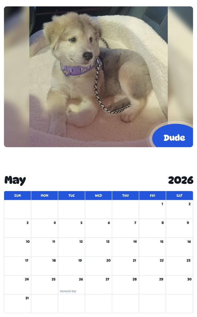 2026 - 2027 Dude - Pawidols Pet Calendar