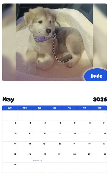 2026 - 2027 Dude - Pawidols Pet Calendar