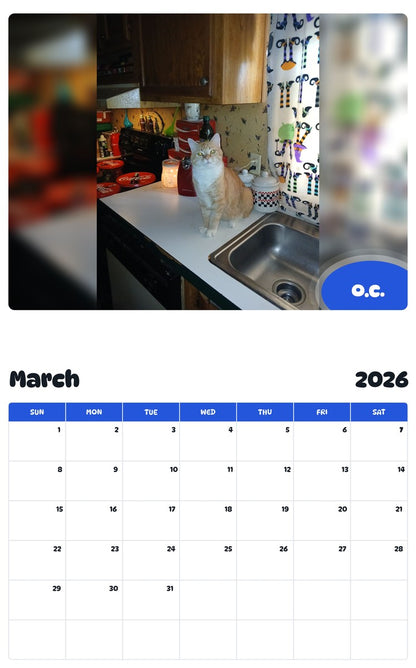 November 2025 - October 2026 O.C. - Pawidols Pet Calendar