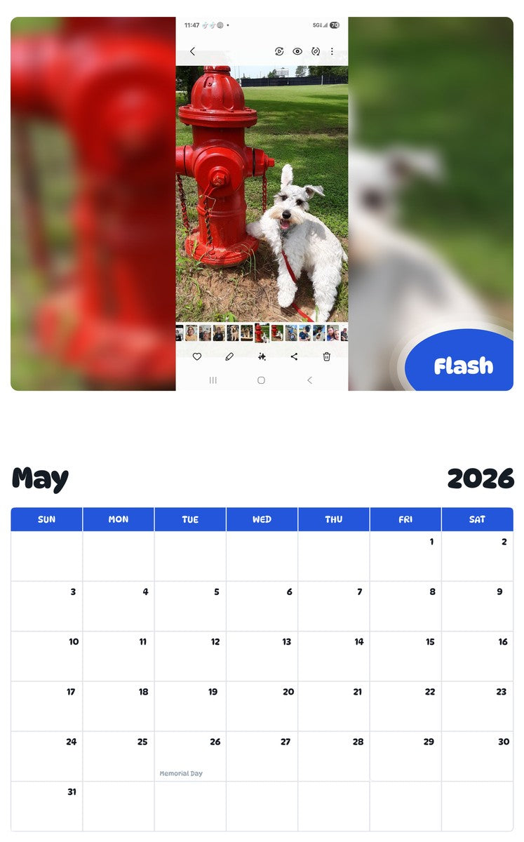 2026 - 2027 Flash - Pawidols Pet Calendar