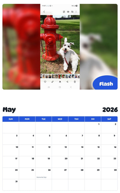 2026 - 2027 Flash - Pawidols Pet Calendar