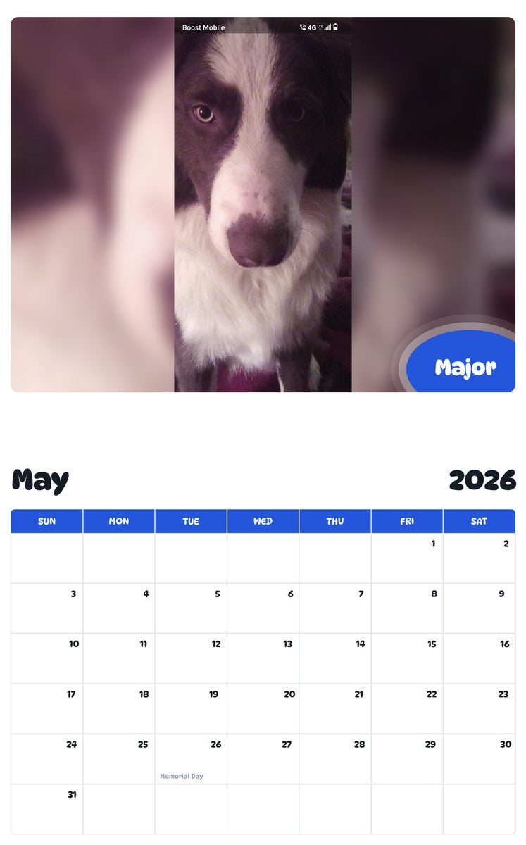 2026 - 2027 Major - Pawidols Pet Calendar