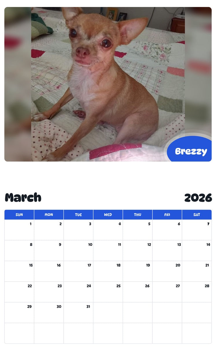 November 2025 - October 2026 Brezzy - Pawidols Pet Calendar
