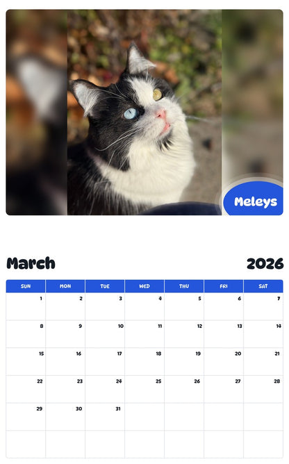 November 2025 - October 2026 Meleys - Pawidols Pet Calendar