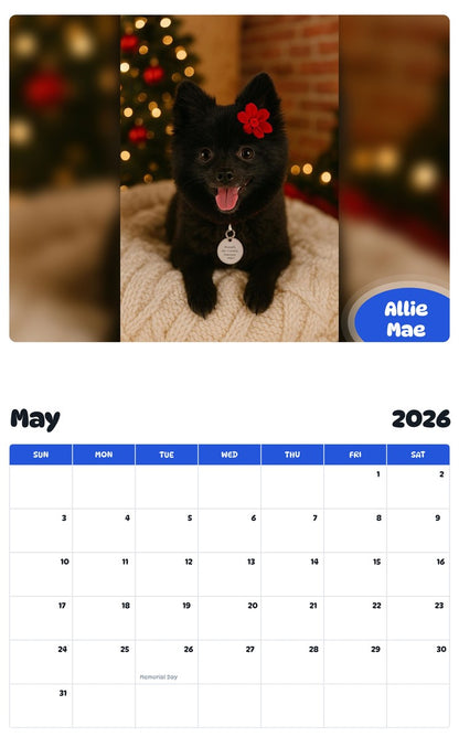 2026 - 2027 Allie Mae - Pawidols Pet Calendar