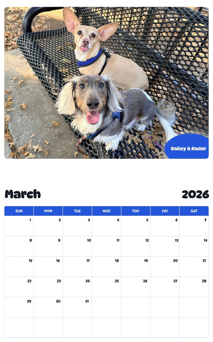 November 2025 - October 2026 Bailey & Radar - Pawidols Pet Calendar