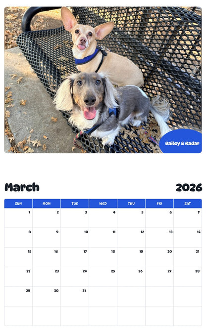 November 2025 - October 2026 Bailey & Radar - Pawidols Pet Calendar