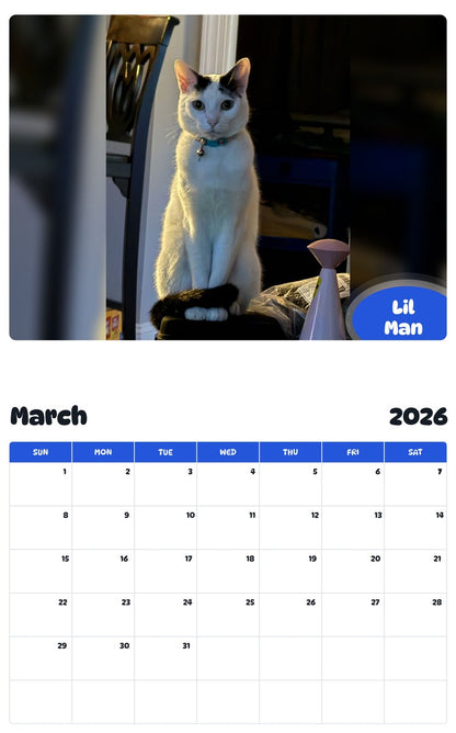 November 2025 - October 2026 Lil Man - Pawidols Pet Calendar