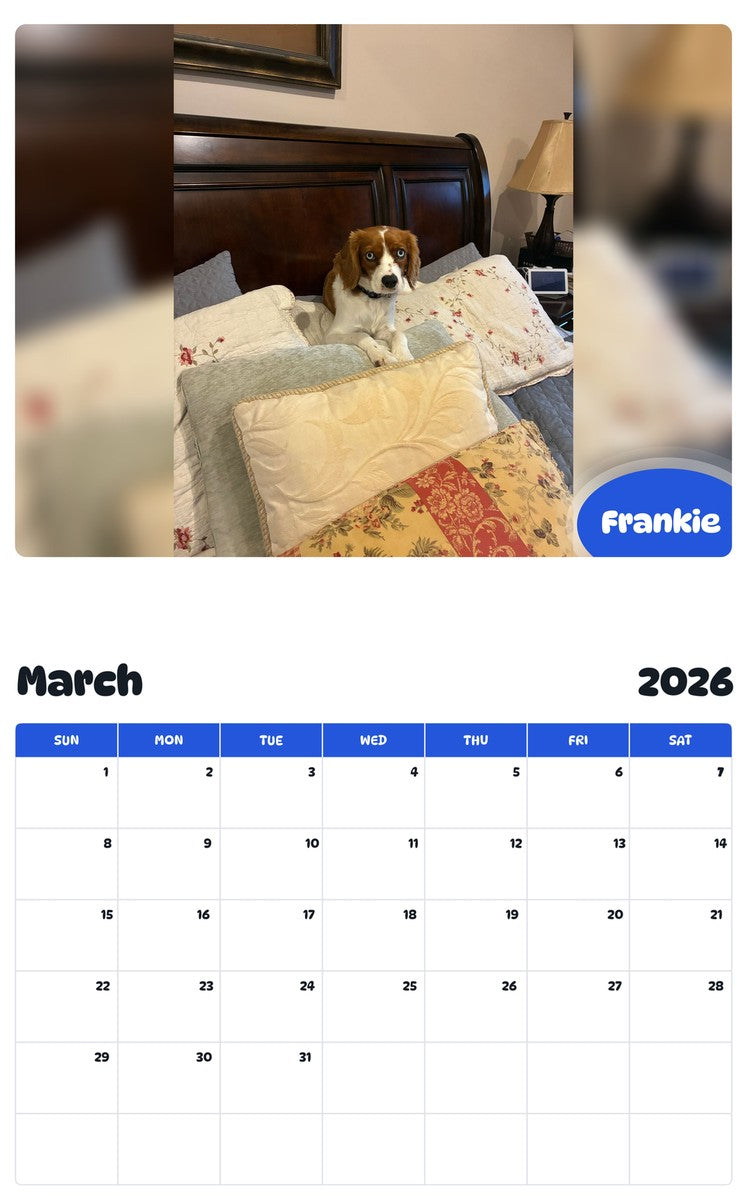 November 2025 - October 2026 Frankie - Pawidols Pet Calendar