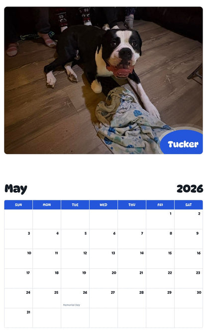 2026 - 2027 Tucker - Pawidols Pet Calendar