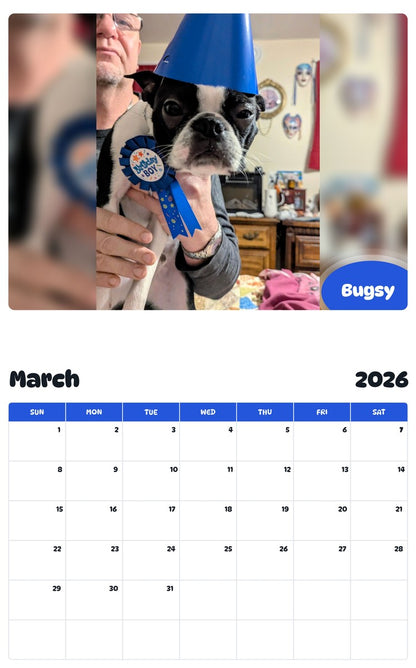November 2025 - October 2026 Bugsy - Pawidols Pet Calendar
