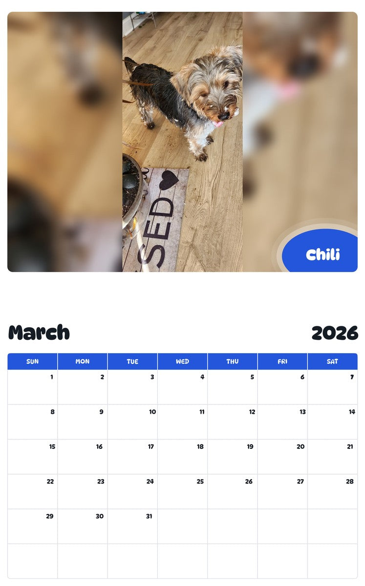 November 2025 - October 2026 Chili - Pawidols Pet Calendar