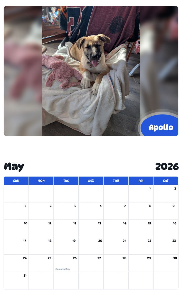 2026 - 2027 Apollo - Pawidols Pet Calendar