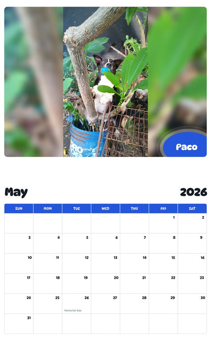 2026 - 2027 Paco - Pawidols Pet Calendar