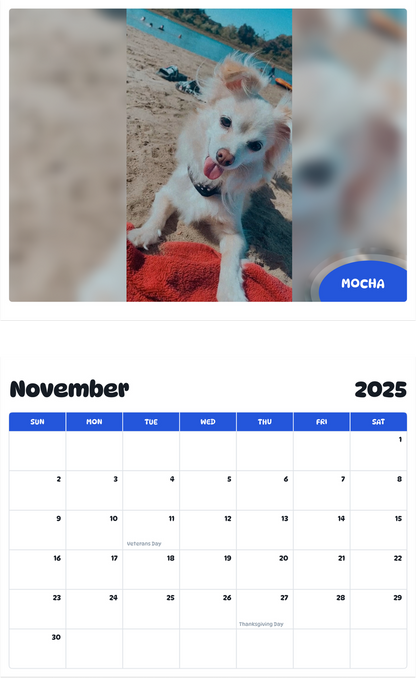 July 2025 - June 2026 mocha - Pawidols Pet Calendar