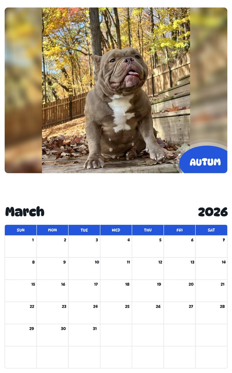 November 2025 - October 2026 AUTUM - Pawidols Pet Calendar