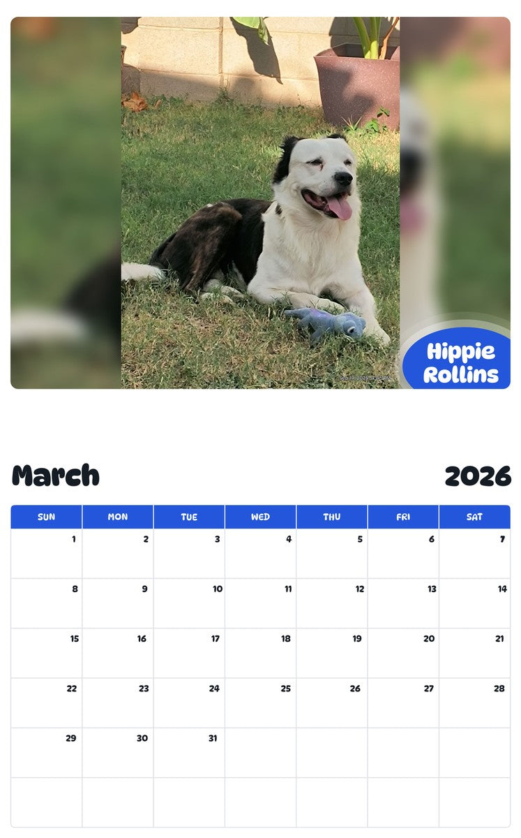 November 2025 - October 2026 Hippie Rollins - Pawidols Pet Calendar