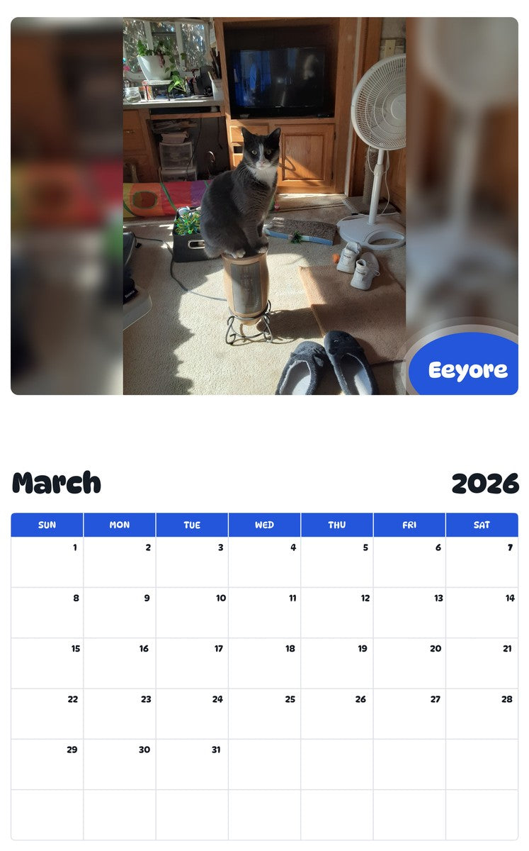 November 2025 - October 2026 Eeyore - Pawidols Pet Calendar