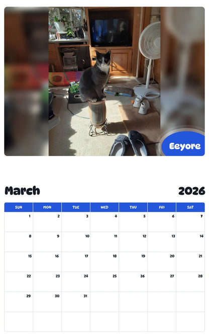 November 2025 - October 2026 Eeyore - Pawidols Pet Calendar