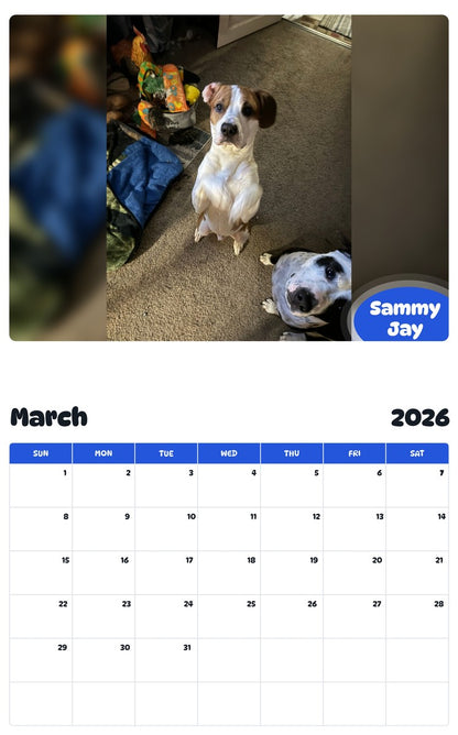 November 2025 - October 2026 Sammy Jay - Pawidols Pet Calendar