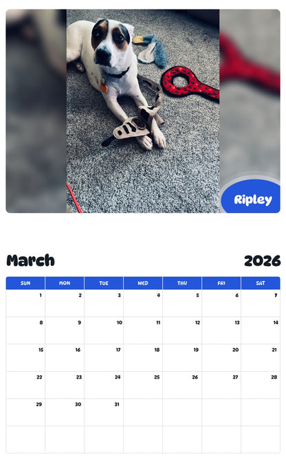 November 2025 - October 2026 Ripley - Pawidols Pet Calendar