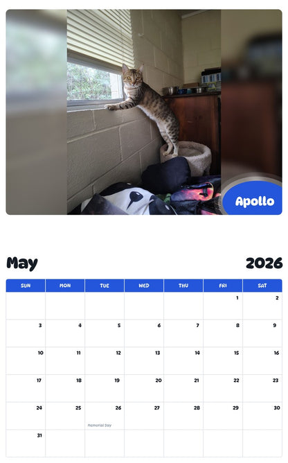 2026 - 2027 Apollo - Pawidols Pet Calendar