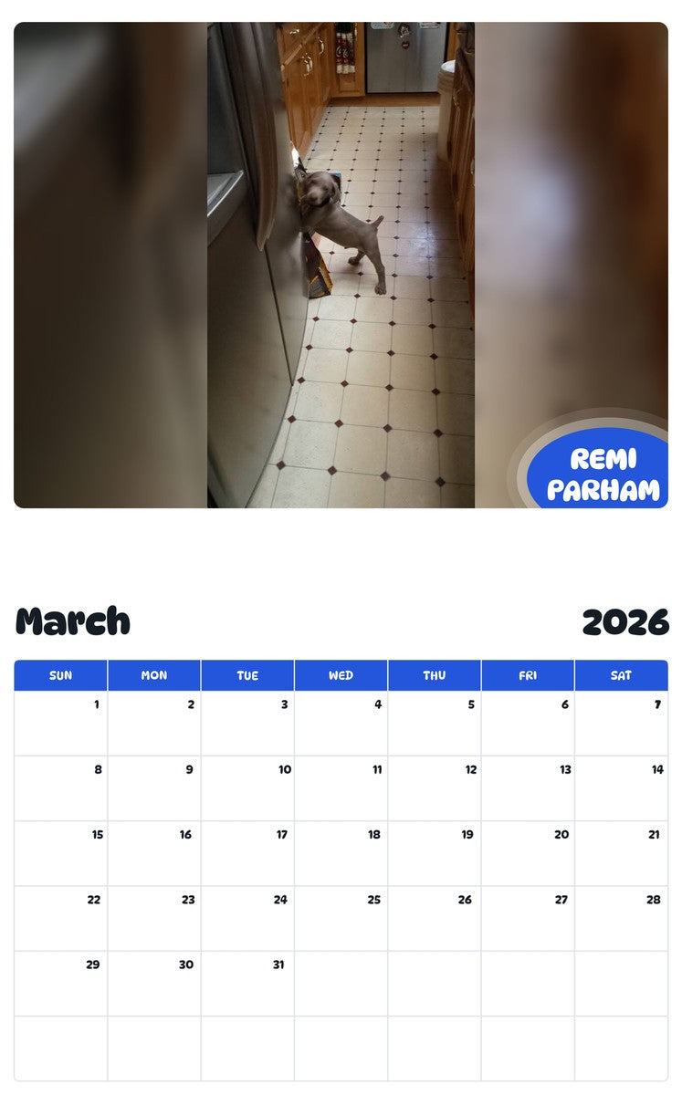 November 2025 - October 2026 REMI PARHAM - Pawidols Pet Calendar