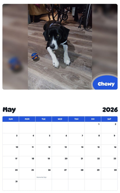 2026 - 2027 Chewy - Pawidols Pet Calendar