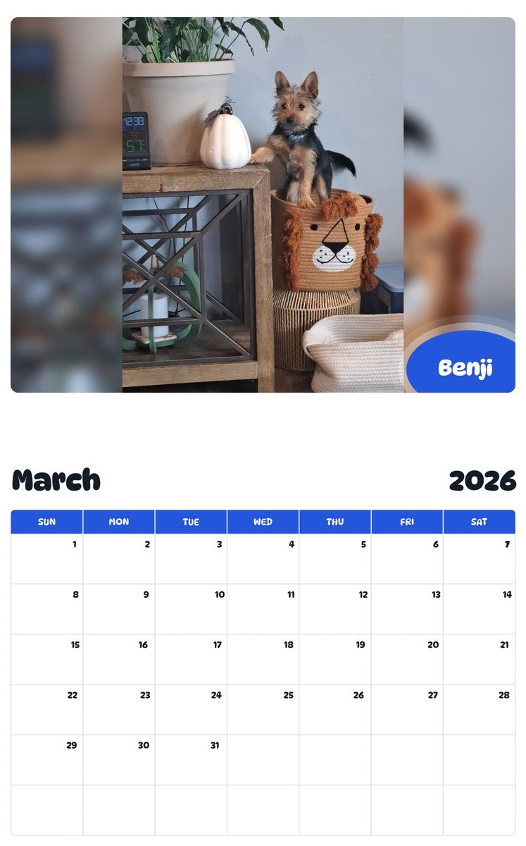November 2025 - October 2026 Benji - Pawidols Pet Calendar