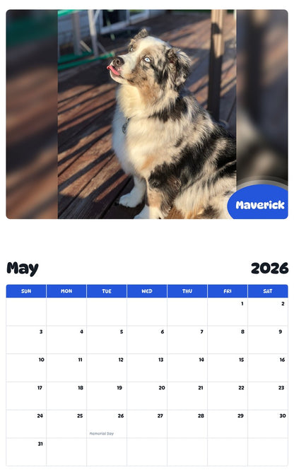 2026 - 2027 Maverick - Pawidols Pet Calendar