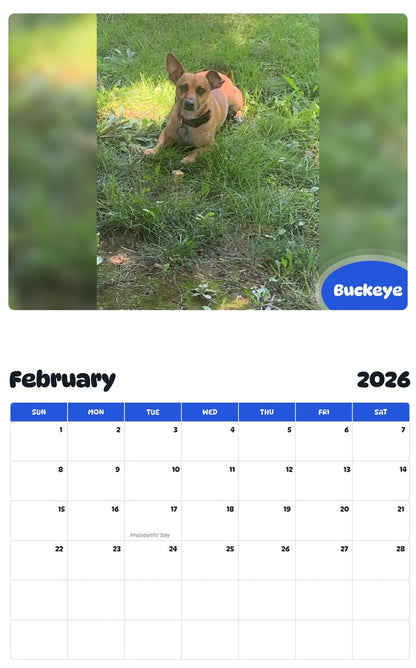 October 2025 - September 2026 Buckeye - Pawidols Pet Calendar