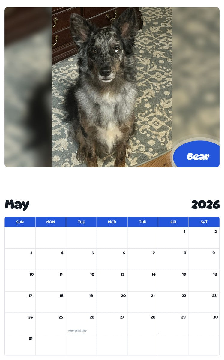 2026 - 2027 Bear - Pawidols Pet Calendar