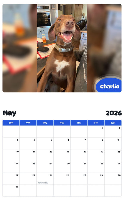2026 - 2027 Charlie - Pawidols Pet Calendar