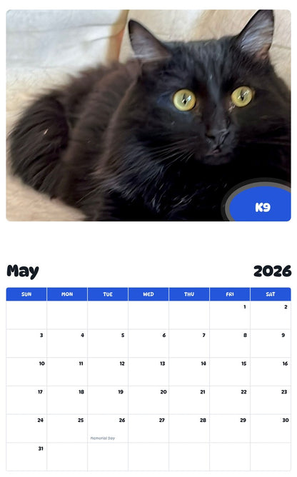 2026 - 2027 K9 - Pawidols Pet Calendar
